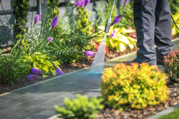 Best Fence Cleaning  in Lambertville, NJ